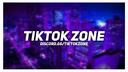 Discovery splash banner for TikTok Zone Discord server