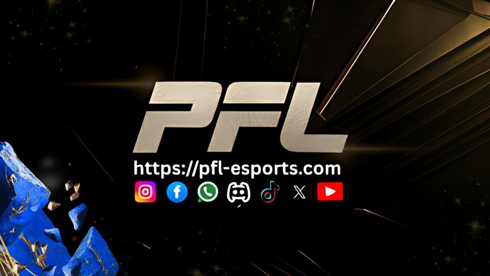 Discovery splash banner for PFL Discord server