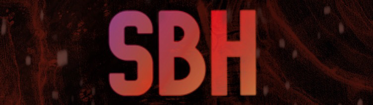 Discovery splash banner for SkyBlock Hub Discord server