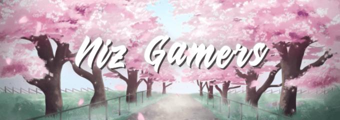 Discovery splash banner for Niz Gamer Discord server