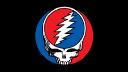 Discovery splash banner for Grateful Dead Discord server