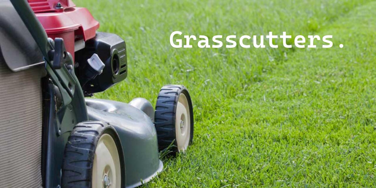 Discovery splash banner for Grasscutters Discord server