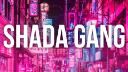 Discovery splash banner for Shada Gang | Kaysha Discord server