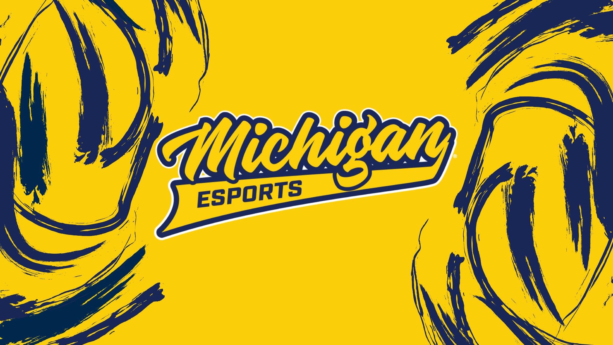 Discovery splash banner for Michigan Esports Discord server