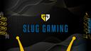 Discovery splash banner for Slug Gaming Discord server