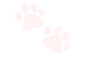 :Paws: