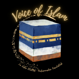 Discovery icon for Voice of Islam Discord server