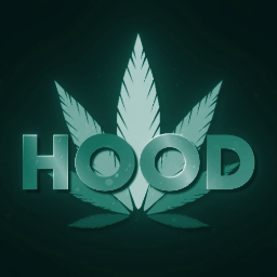 Discovery icon for 🌴・𝐻𝒪𝒪𝒟 ™ Discord server