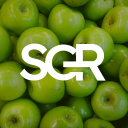 Discovery icon for SGR Systems Discord server