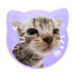 Discovery icon for cat piss aka' /sillycats 𖾕𖾝꙼ᩚ𛲕𖾟 Discord server