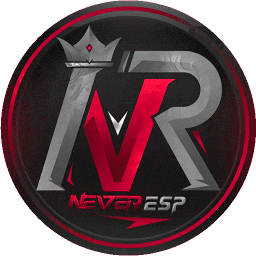 Discovery icon for NEVER ESPORTS Discord server