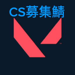 Discovery icon for VALORANT-CS募集鯖 Discord server