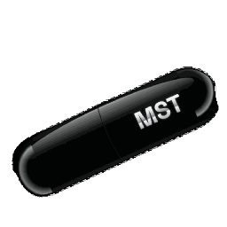 Discovery icon for MST Community Discord server
