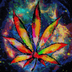 Discovery icon for ZAZA 🍃 Discord server