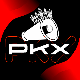 Discovery icon for 📢 PKX • Divulgações╺╸#5K 🚀 Discord server