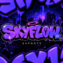 Discovery icon for SKYFLOW ESPORTS Discord server