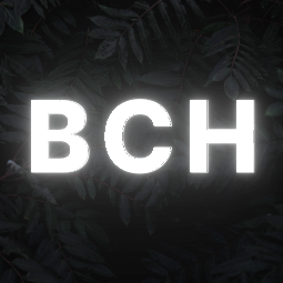 Discovery icon for Beginner Casting Hub Discord server