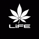 Discovery icon for LiFE ESPORTS • 🇮🇳 1900+ Discord server