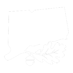 Discovery icon for Connecticut State Roleplay Discord server