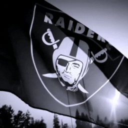 Discovery icon for Las Vegas Raiders Discord server