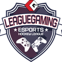 Discovery icon for Leaguegaming Esports Discord server