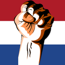 Discovery icon for Dutch: FGC Discord server