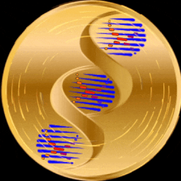 Discovery icon for THE SHADE SYNDICATE Discord server