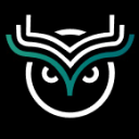 Discovery icon for Wise Token: WiseOne Discord server