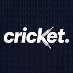 Discovery icon for Cricket. Discord server