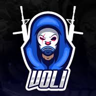 Discovery icon for VOLI COMMUNITY Discord server