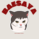 Discovery icon for Baesaya | BOOST US Discord server