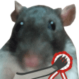 Discovery icon for CAUSA TEAM Discord server