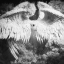 Discovery icon for 𝐃𝟑𝐒𝟏𝐑𝟑𝐒 Discord server