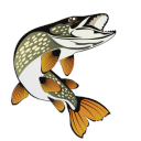Discovery icon for 🐟│𝐏𝐞𝐜𝐡𝐞𝐮𝐫𝐬 𝐅𝐑│🐟 Discord server