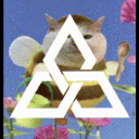 Discovery icon for Falkner-Muir | Newquay Funky Family Club House Discord server