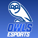 Discovery icon for THE OWLS ESPORTS COMMUNITY Discord server